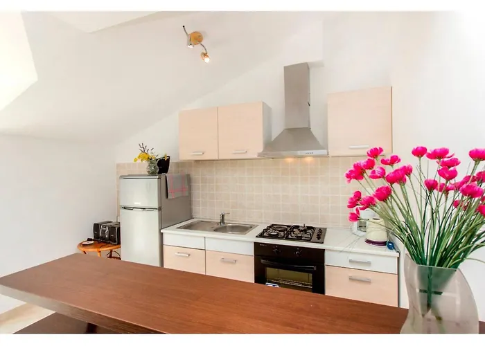 Pletikosa * Bristane